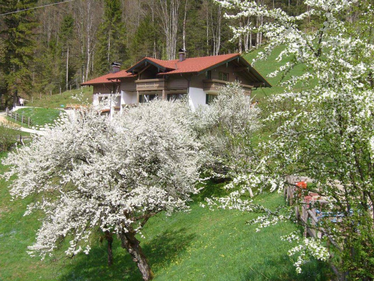 Haus Eicher Schneizlreuth Luaran gambar